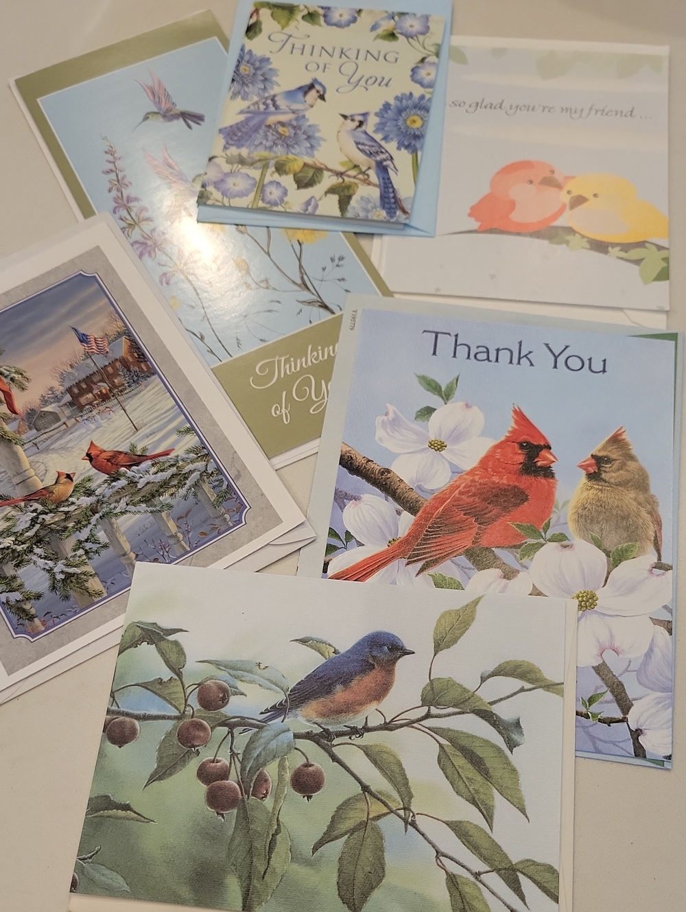 New! Assorted Bird Card Bundle